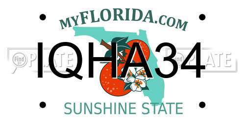 IQHA34 Florida License Plate