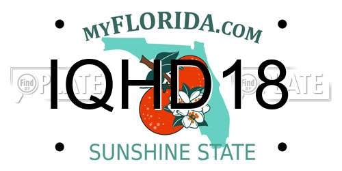 IQHD18 Florida License Plate