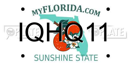 IQHQ11 Florida License Plate