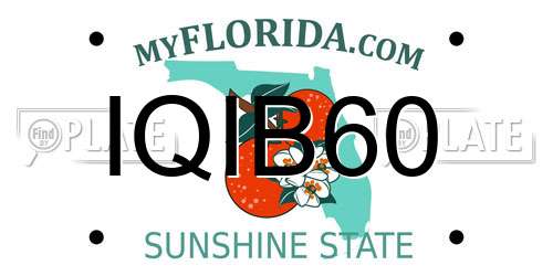 IQIB60 Florida License Plate
