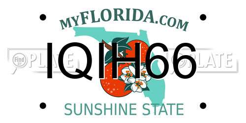 IQIH66 Florida License Plate