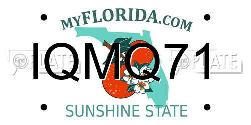 IQMQ71 Florida License Plate