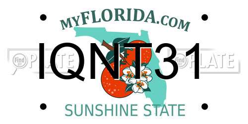 IQNT31 Florida License Plate