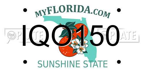 IQO150 Florida License Plate