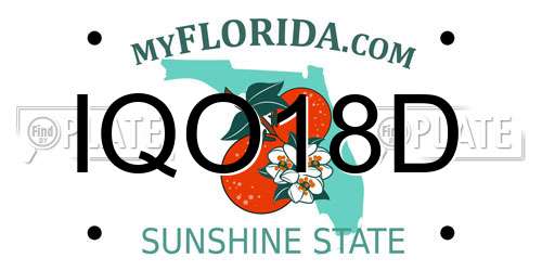 IQO18D Florida License Plate