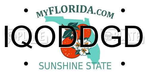 IQODDGD Florida License Plate
