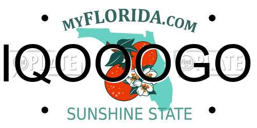 IQOOOGO Florida License Plate