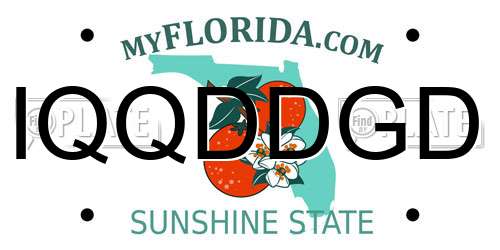 IQQDDGD Florida License Plate