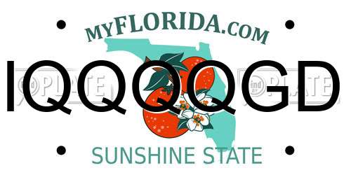 IQQQQGD Florida License Plate