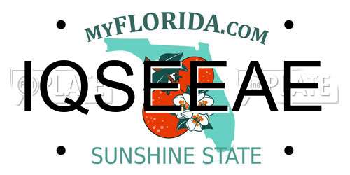 IQSEEAE Florida License Plate