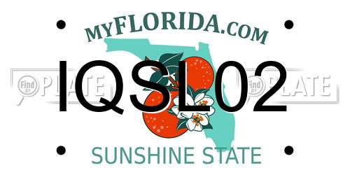 IQSL02 Florida License Plate