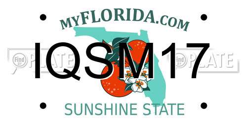 IQSM17 Florida License Plate