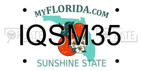 IQSM35 Florida License Plate