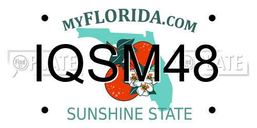 IQSM48 Florida License Plate