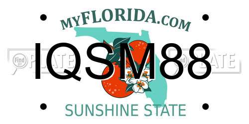 IQSM88 Florida License Plate