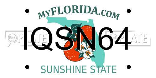 IQSN64 Florida License Plate