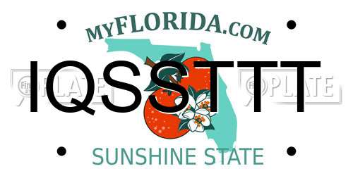 IQSSTTT Florida License Plate