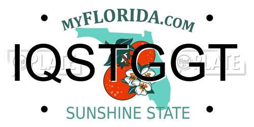 IQSTGGT Florida License Plate