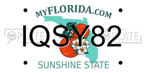 IQSY82 Florida License Plate
