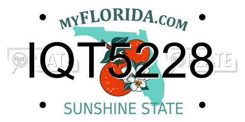 IQT5228 Florida License Plate