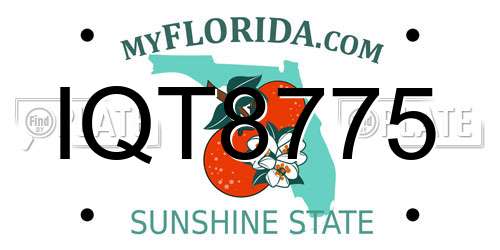 IQT8775 Florida License Plate