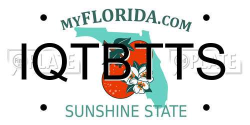 IQTBTTS Florida License Plate