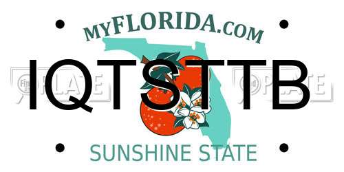 IQTSTTB Florida License Plate