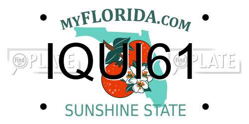 IQUI61 Florida License Plate