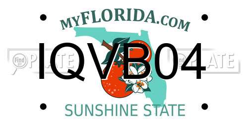 IQVB04 Florida License Plate