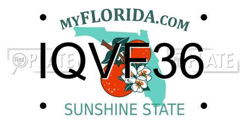 IQVF36 Florida License Plate
