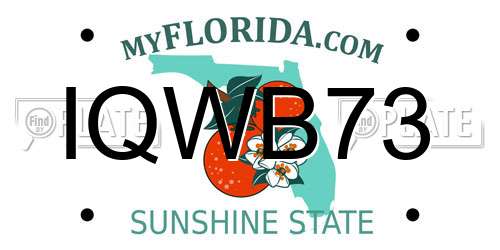 IQWB73 Florida License Plate