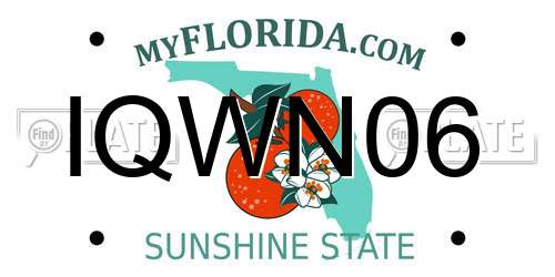 IQWN06 Florida License Plate