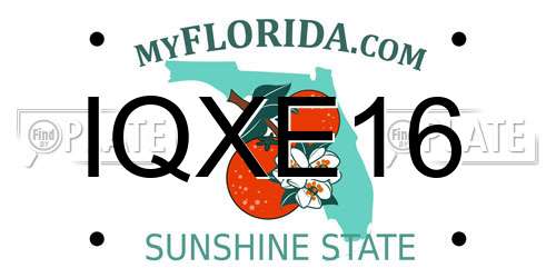 IQXE16 Florida License Plate
