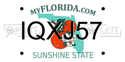 IQXJ57 Florida License Plate