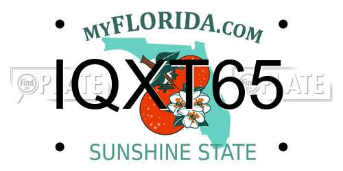 IQXT65 Florida License Plate