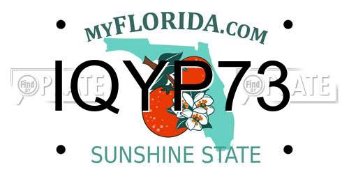IQYP73 Florida License Plate