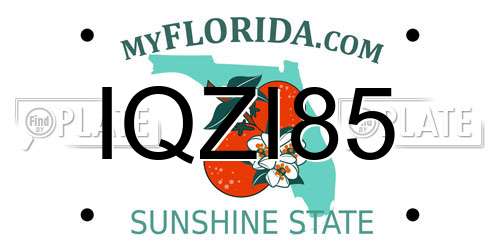 IQZI85 Florida License Plate