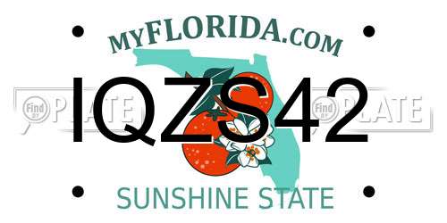 IQZS42 Florida License Plate