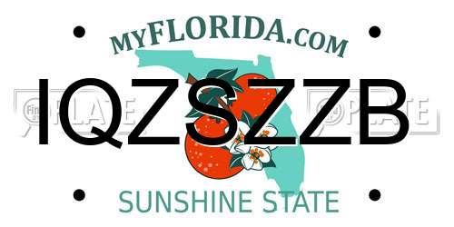 IQZSZZB Florida License Plate