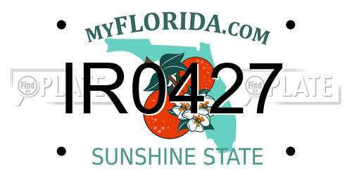 IR0427 Florida License Plate
