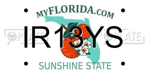 IR13YS Florida License Plate