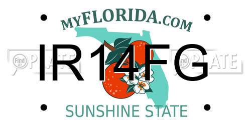 IR14FG Florida License Plate