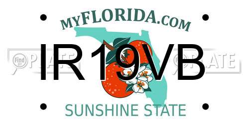 IR19VB Florida License Plate