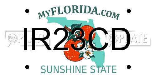 IR23CD Florida License Plate