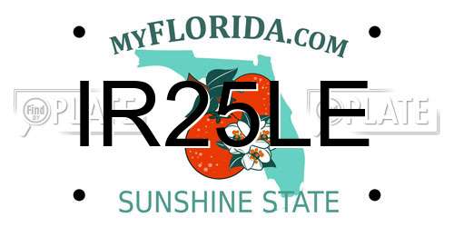 IR25LE Florida License Plate