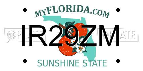 IR29ZM Florida License Plate