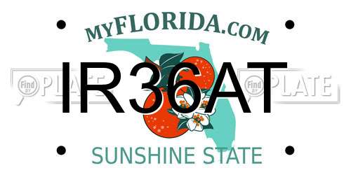 IR36AT Florida License Plate
