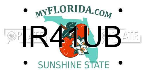 IR41UB Florida License Plate