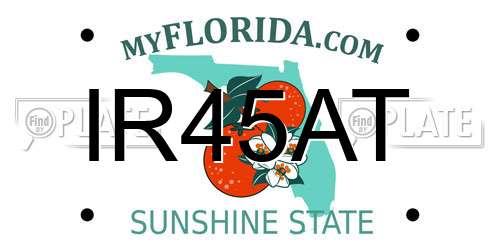 IR45AT Florida License Plate