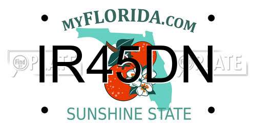 IR45DN Florida License Plate